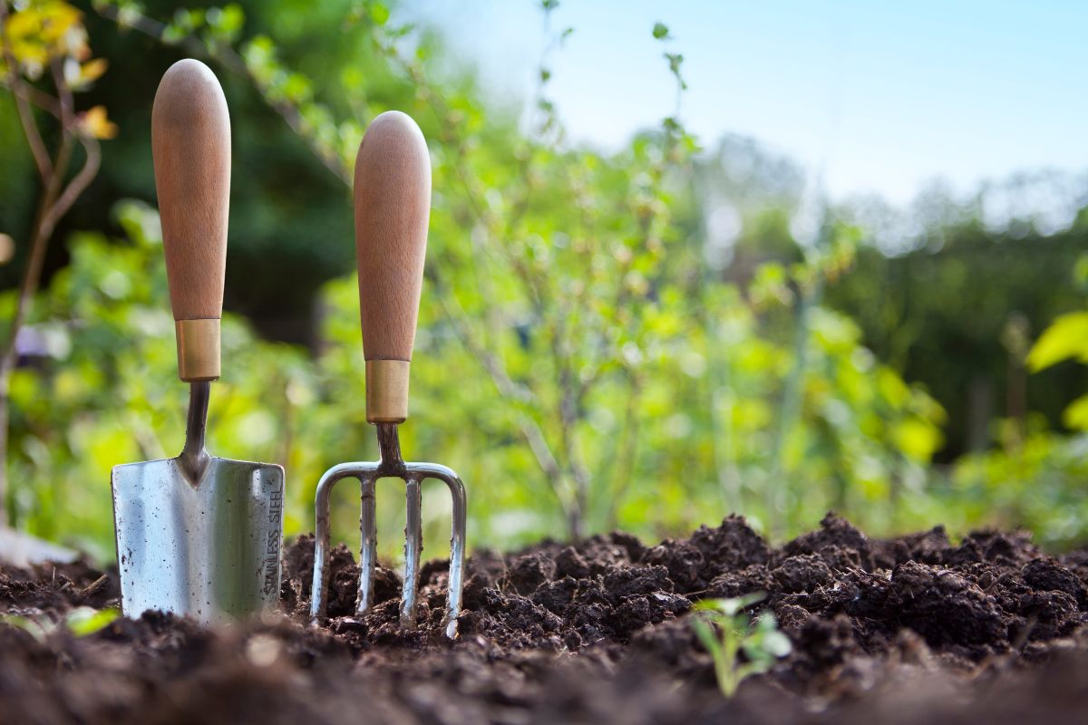 Are Metal Detecting Digging Tools Just Glamorized Gardening Trowels?